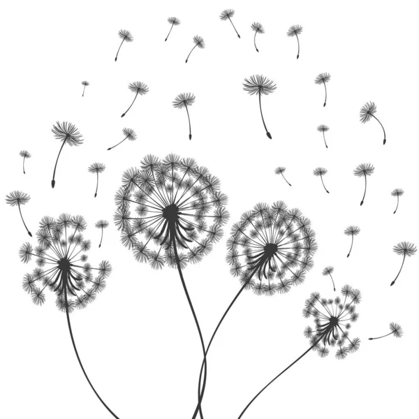 Vector illustration dandelion time. Dandelion seeds blowing in the wind. The wind inflates a dandelion isolated in white background — Stock Vector