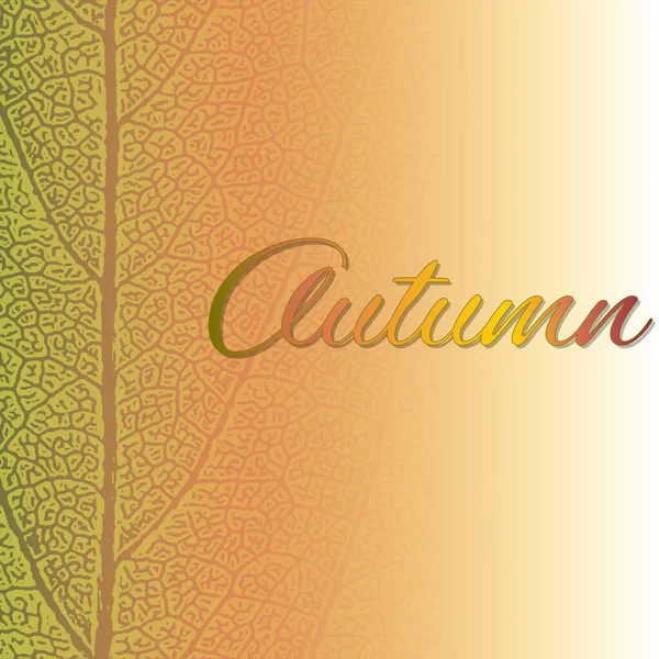 Autumn color leaf 텍스처 배경과 text.Autumn 벡터 설계 공간. Eps 10 — 스톡 벡터