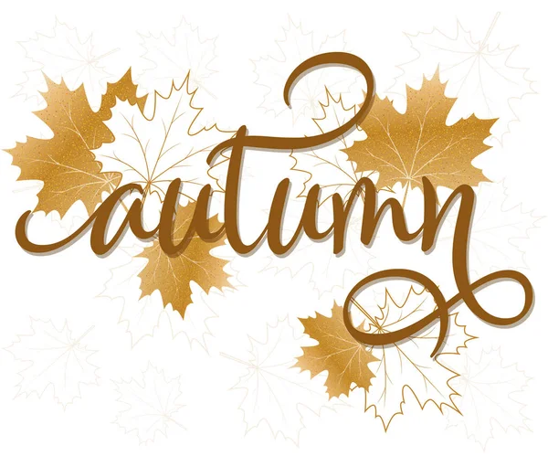 Cartaz de carta de outono com folhas de outono douradas e brancas. Conceito de natureza com design vetorial isolado branco editável. —  Vetores de Stock
