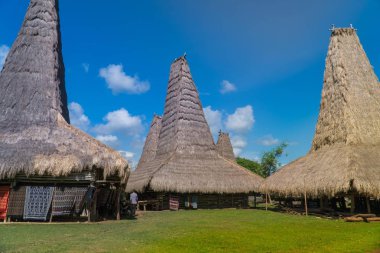 Ratenggaro Sumba, Doğu Nusa Tenggara Endonezya, geleneksel kulübe