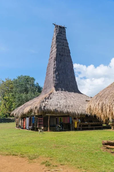 Ratenggaro Sumba, Doğu Nusa Tenggara Endonezya, geleneksel kulübe