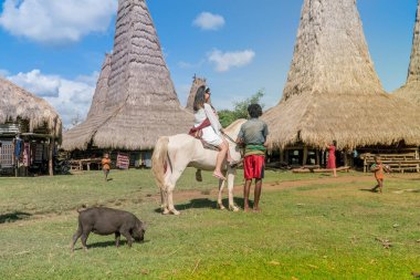 Sumba, Endonezya - 23 Mart 2018: bir binicilik Sumba, Doğu Nusa Tenggara Endonezya, Ratenggaro geleneksel kulübe, turizm