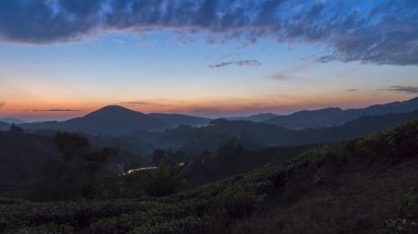 Cameron Highland, Malezya bulutlu gökyüzü ile Güzel sabah yeşil alan
