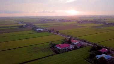 Selangor, Malezya 'da yer alan Paddy Field' da Günbatımının sinematik hava görüntüleri