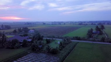 Selangor, Malezya 'da yer alan Paddy Field' da Günbatımının sinematik hava görüntüleri