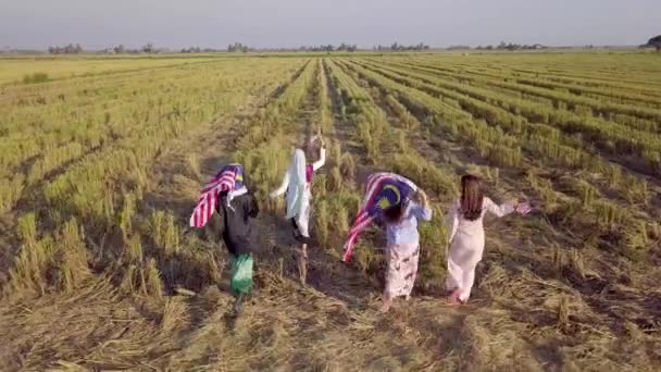 Images Cinématographiques Groupe Jeunes Gens Courant Dans Rizière Tenant Drapeau — Video