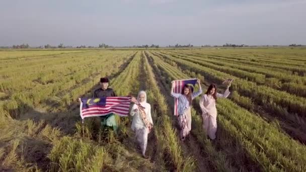 Bir Grup Gencin Malezya Bayrağı Tutarak Çeltik Tarlasında Koşarken Çekilmiş — Stok video