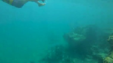 Su altı Kristal berrak su görüntüsü Coron, Palawan, Filipin 'de. Kayangan Gölü 'nde.