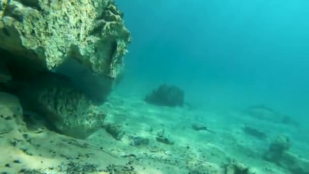 Undervattensbilder Kristallklart Vatten Coron Palawan Filippinerna Beläget Vid Kayangan Lake — Stockvideo