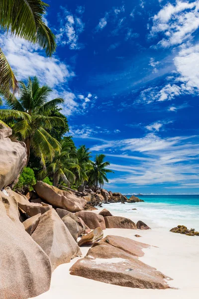 Photo Une Plage Tropicale Par Temps Ensoleillé — Photo