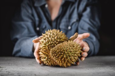 Asya Durian egzotik meyvelerden bir kadın elinde
