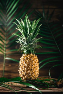 Masada tropikal ülkelerden egzotik meyve ananas