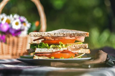 Parkta ya da ormanda sandviçlerle piknik. Tost ekmeği, peynir, jambon, sosis, domates, salata yaprakları. Hafta sonu partisi, güneşli bir gün.