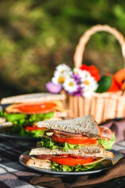Parkta ya da ormanda sandviçlerle piknik. Tost ekmeği, peynir, jambon, sosis, domates, salata yaprakları. Hafta sonu partisi, güneşli bir gün.