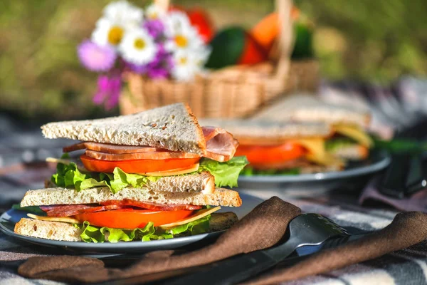 Parkta ya da ormanda sandviçlerle piknik. Tost ekmeği, peynir, jambon, sosis, domates, salata yaprakları. Hafta sonu partisi, güneşli bir gün.
