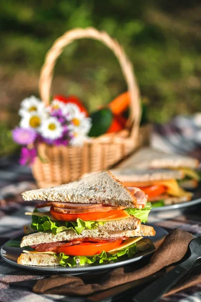 Parkta ya da ormanda sandviçlerle piknik. Tost ekmeği, peynir, jambon, sosis, domates, salata yaprakları. Hafta sonu partisi, güneşli bir gün.