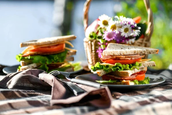 Parkta ya da ormanda sandviçlerle piknik. Tost ekmeği, peynir, jambon, sosis, domates, salata yaprakları. Hafta sonu partisi, güneşli bir gün.