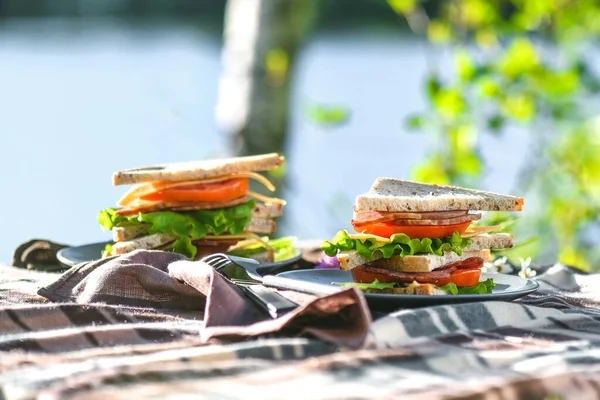 公園や森の中でサンドイッチとピクニック トーストパン チーズ ソーセージ トマト サラダの葉 週末パーティー晴れた日 — ストック写真