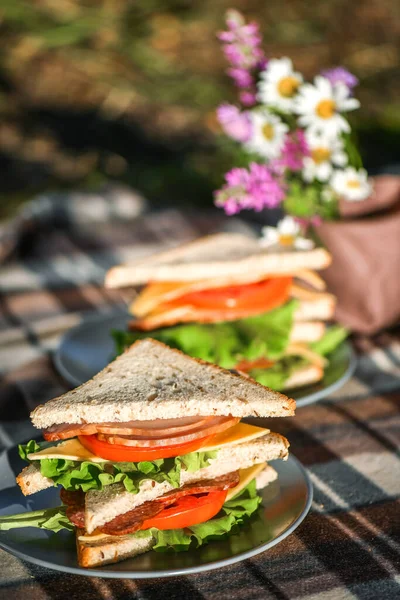 Parkta ya da ormanda sandviçlerle piknik. Tost ekmeği, peynir, jambon, sosis, domates, salata yaprakları. Hafta sonu partisi, güneşli bir gün.