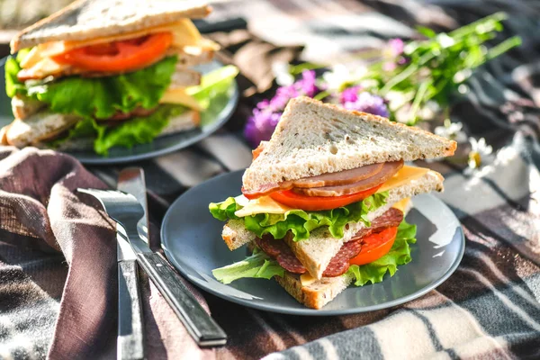 Picnic Sandwiches Park Forest Toast Bread Cheese Ham Sausage Tomatoes — Stock Photo, Image
