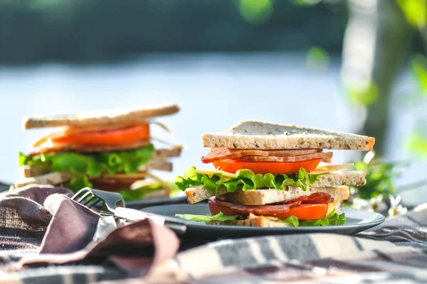 Piknik Szendvicsekkel Parkban Vagy Erdőben Pirítós Kenyér Sajt Sonka Kolbász — Stock Fotó