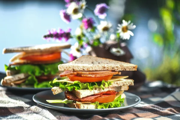 Parkta Ormanda Sandviçlerle Piknik Tost Ekmeği Peynir Jambon Sosis Domates Stok Fotoğraf