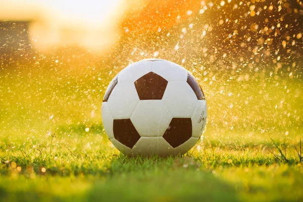 Gün batımı ray ışık ve yağmur altında futbol futbol oyunu için yeşil çim sahada top.