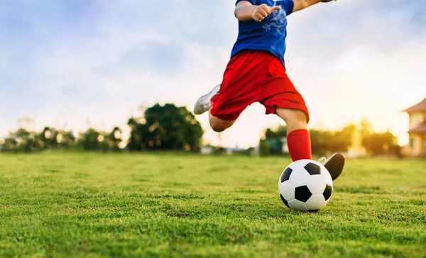 Yeşil çim alanında egzersiz için futbol oynayan bir grup çocuk bir aksiyon spor resmi.