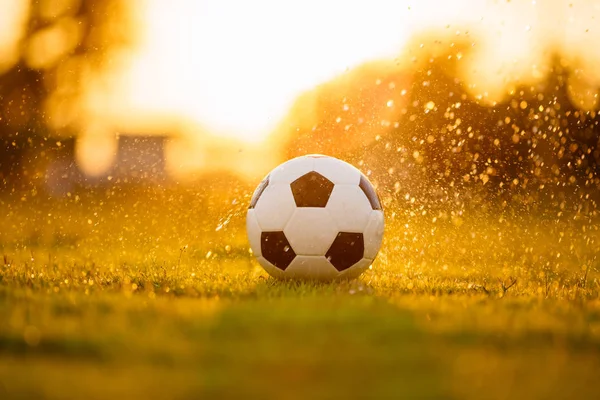 Gün batımı ışını ışık ve yağmur altında futbol futbol oyunu için yeşil çim alanında bir top. Alan alanı ile resim.