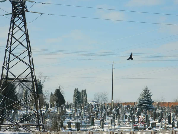 High-voltage power line near the snow-covered cemetery over which a crow flies.