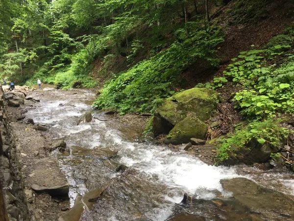 Karpatlar 'daki Dağ Nehri.