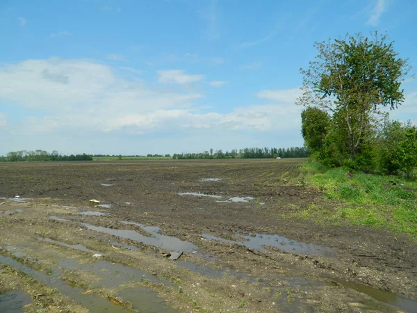 Bahar yağmurundan sonra sürülmüş tarla, tarla yolu.