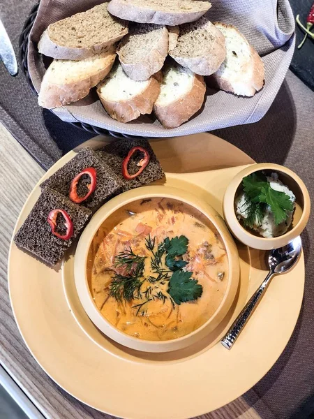 Ukraynalı Borş (çorba) ve ekmek, yemek kitabı için yüksek çözünürlükte mükemmel fotoğraf