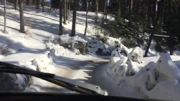 Fahrt Mit Einem Geländewagen Auf Einer Winterlichen Bergstraße Wald Und — Stockvideo