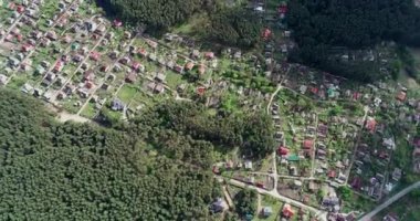 Bir kuşun uçuşundan çamların havadan görünümü. Çam ormanı ve banliyö köyü üzerinde uçan