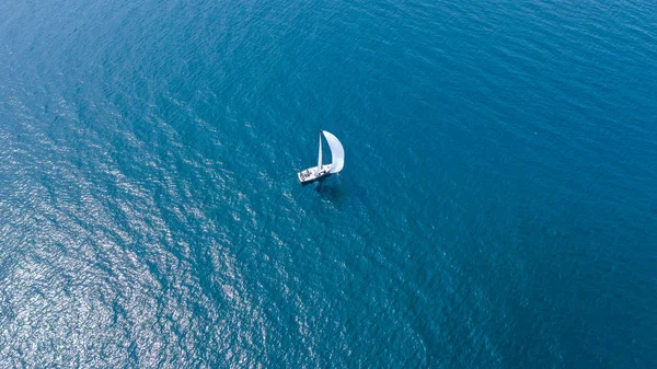 Vista Pájaro Velero Blanco Sobre Fondo Ciudad Puerto Imagen De Stock