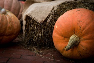 samanlıkların arka planında kabaklar
