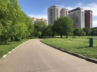 şehrin ve doğanın birleşmesi