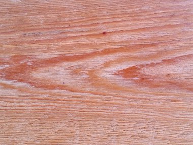 Karaçam ağacı doku arka plan