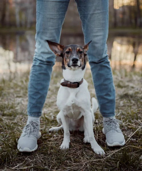 Parkta köpek eğiten kızlar.