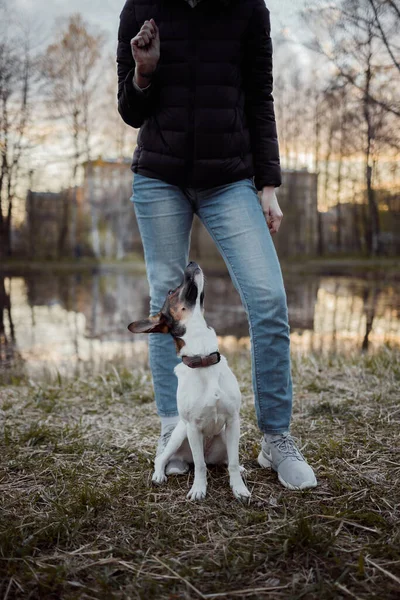 Parkta köpek eğiten kızlar.