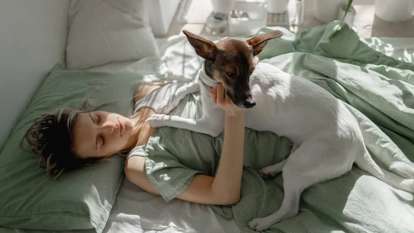 The girls in bed with a little dog — Stock Photo, Image