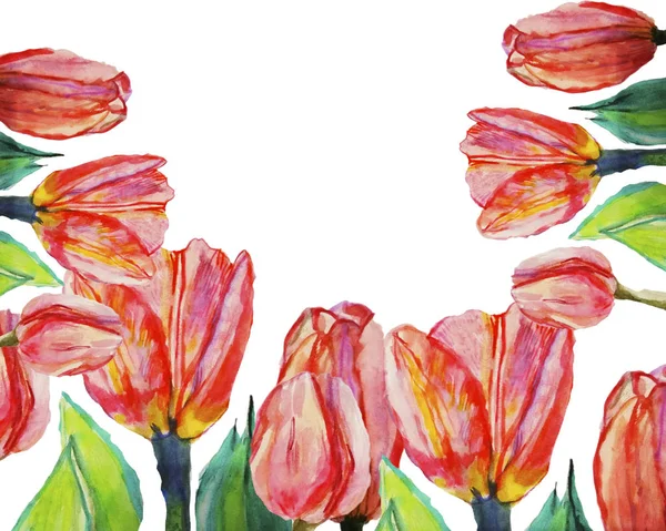 Carte de printemps avec fond de fleurs de tulipes, pour carte ou impression — Photo
