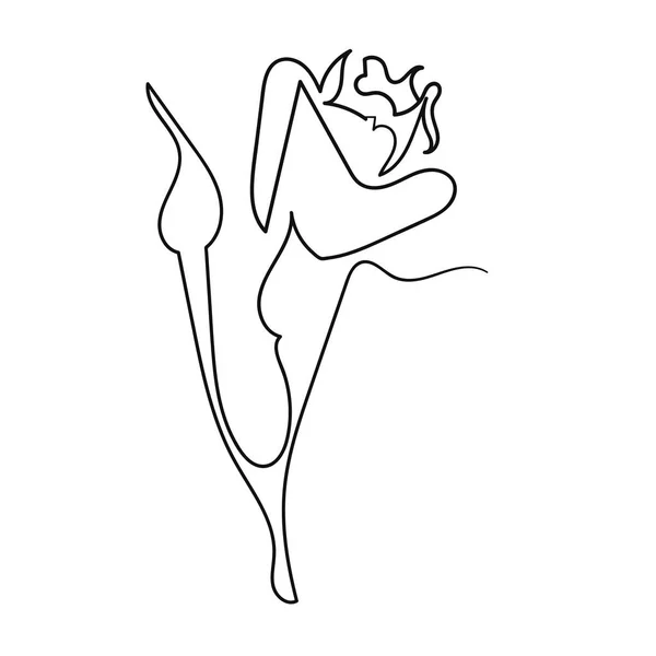 Satu baris desain mawar. Ilustrasi vektor gaya gambar tangan minimalisme - Stok Vektor