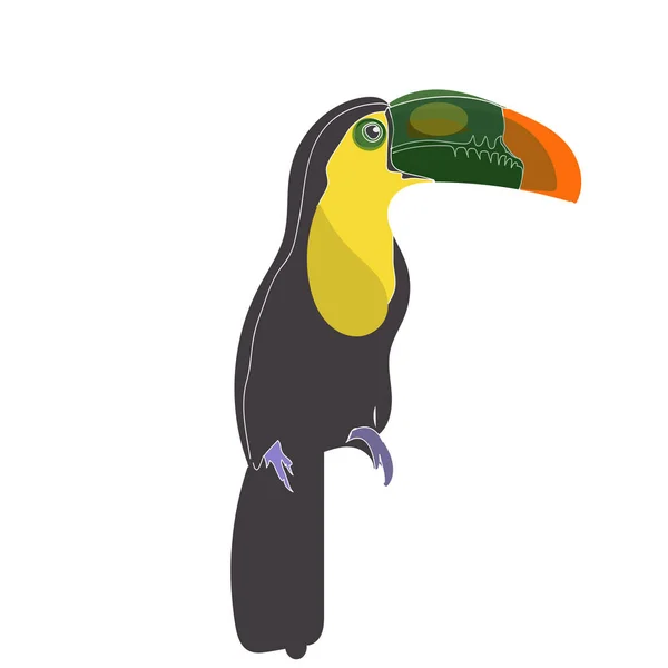 One Bird with Big beak, Toucan bird sitting with white background. Vector painting illustration on paper, animal life.Logo or banner — Stock Vector
