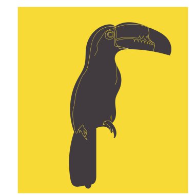 Koca gagalı bir kuş, beyaz arka planda oturan bir Toucan kuşu. Kağıt üzerinde vektör çizimi, hayvan yaşamı. Logo veya afiş.