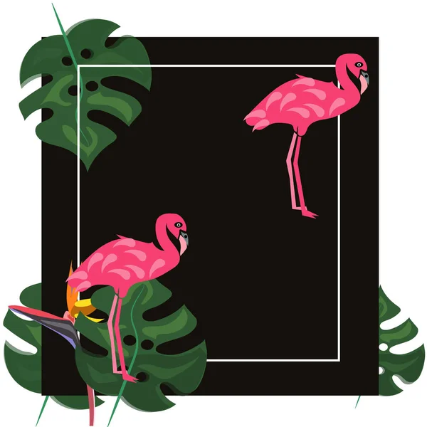 Flamant rose et fleur de strelitzia. Tropical Summer. Feuilles de palmier, plantes, Oiseau de paradis. Cadre rectangulaire. Texte . — Image vectorielle