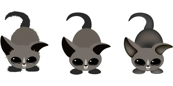 ベクトル灰色猫 — ストックベクタ