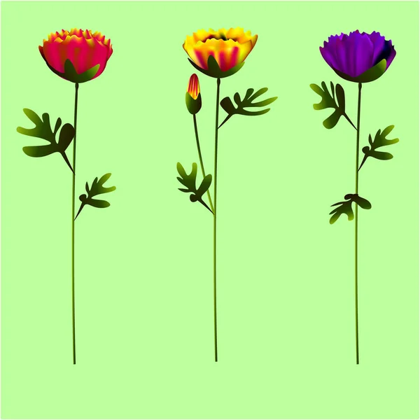 Vektor sping Farbe Blume — Stockvektor