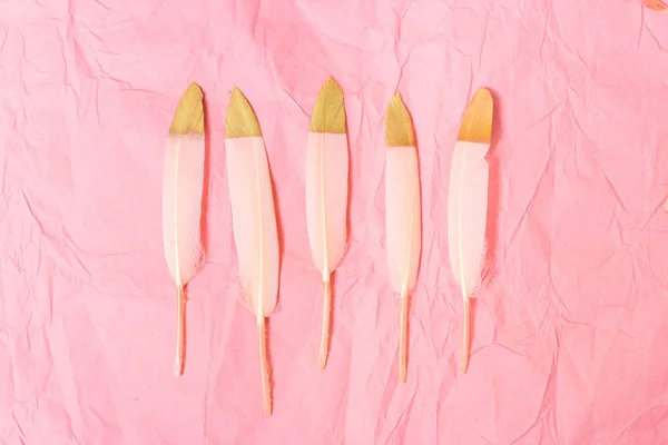 Pink and gold feathers on a pink background